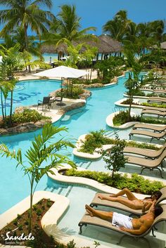 two people laying on chaise lounges next to an outdoor swimming pool with palm trees