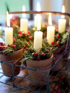 small potted plants with lit candles in them