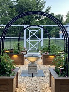 an outdoor garden area with several planters and a fountain in the center, surrounded by gravel