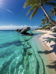 the water is crystal blue and clear with palm trees