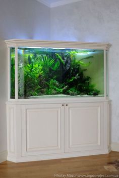 an aquarium is shown in the corner of a room with wood floors and white cabinets