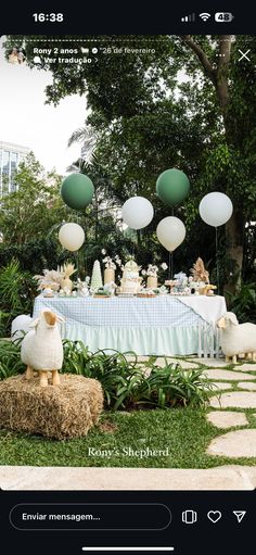 an image of a table with balloons in the air and sheep on hay bales