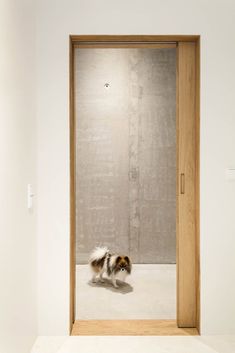 a small dog is walking through an open door in a room with white walls and flooring