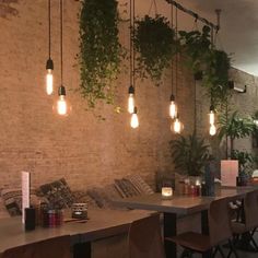 an empty restaurant with plants growing on the brick wall and hanging lights above tables in front of them