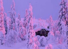 a cabin in the middle of some trees covered in pink light from the setting sun