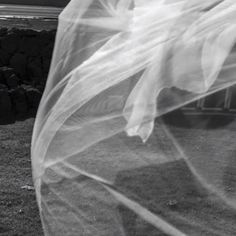 black and white photograph of a woman's veil blowing in the wind on grass