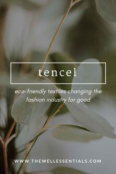 a plant with the words tencel on it and an image of leaves in the background