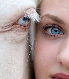 a close up of a woman with blue eyes next to a white dog's face