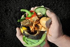 a hand holding a half eaten sandwich with mushrooms, lettuce and cucumbers