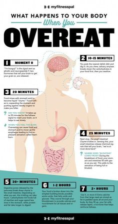 Since overeating is a concept that most of us understand and experienced first-hand, I wanted to break down what actually happens in your body ... Flexible Dieting, Stomach Acid, A Concept, What Happened To You, Health And Fitness Tips, Fitness Tips, Health Tips, Health And Wellness