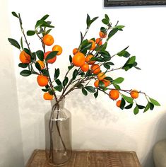 an orange tree in a glass vase on a table