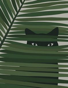 a black cat peeking out from between palm leaves