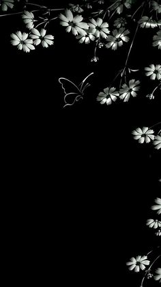 black and white photograph of flowers with butterfly on it's backgrounge