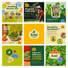 brochures for seeding and gardening are displayed in multiple squares with different colors