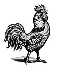 a black and white drawing of a rooster with a crown on it's head