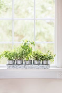 a window sill filled with potted plants on top of a white mantle next to a window