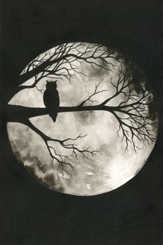 an owl sitting on a tree branch in front of a full moon