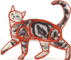 a drawing of a cat with red lines on it's body and head, standing in front of a white background