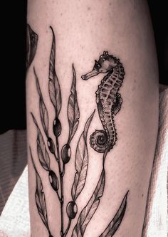 a black and white photo of a seahorse on the thigh with leaves around it