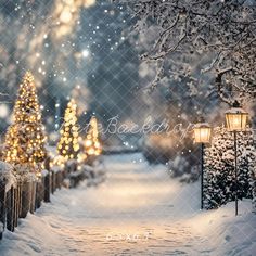 a snowy path with christmas trees and lights