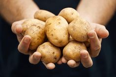 a person holding several potatoes in their hands