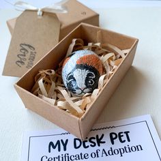 an ornament in a box with a ribbon around it that says, my disk pet certificate of adoption