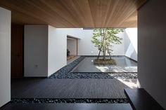 an empty room with a tree in the center and rocks on the ground below it