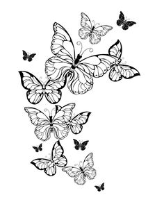 black and white butterflies flying in the sky