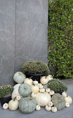 a pile of pumpkins and gourds sitting next to each other on the ground