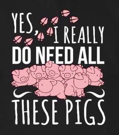 a black hoodie with pink pigs on it that says, yes i really do need all these pigs