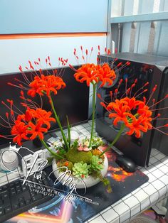 three orange flowers are in a white bowl on a desk next to a computer keyboard