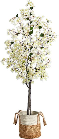 a small white tree in a woven basket