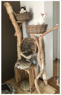 two cats are sitting on top of a wooden stand with baskets in the shape of branches