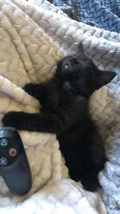 a small black kitten laying on top of a blanket next to a video game controller