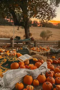 pumpkins are piled up on the ground in front of an open field at sunset