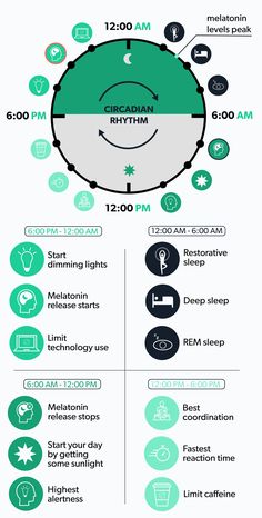 10 3 2 1 0 Sleep Rule, Sleep Cycle Chart, Psychology Journal, Rem Sleep Cycle, Sleep Inertia, Health Illustration, Sleep Chart, Sleep Phases, Sleep Disorder