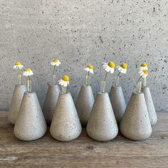 five cement vases with daisies in them