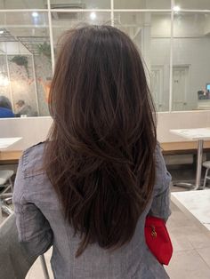 Medium Layered Hair V Shape, Layered Triangle Haircut, V Layers Haircut, Back Length Hair With Layers, Layered Brunette Haircut, Long Layered Thick Hair Straight, Asian Layered Hair Straight, Long Layers Haircut Unstyled, Med Layers Haircut