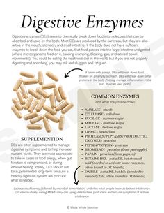 Digestive Enzymes Benefits, Healthiest Diet, Functional Health, Motivasi Diet, Small Intestine, Nutritional Therapy, Feminine Health, Large Intestine, Health Research