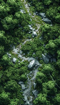 an aerial view of a stream in the middle of a forest with rocks and trees