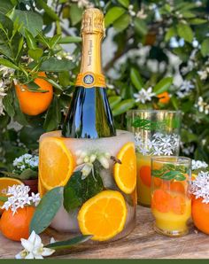 a bottle of champagne sitting on top of an ice block surrounded by oranges and flowers