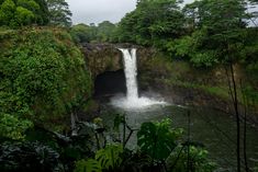 a waterfall is seen in the middle of some trees and bushes, with water coming from it