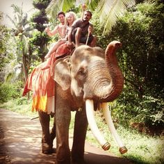 three people riding on the back of an elephant down a dirt road with trees in the background