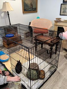 a woman sitting on the floor with her dog in a cage that is full of puppies