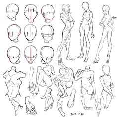 an image of some female body sketches