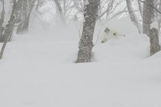 a person is skiing down a snowy hill in the woods with trees on both sides