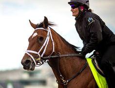 a man riding on the back of a brown horse