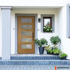 two potted plants sit on the front step of a house, next to a wooden door