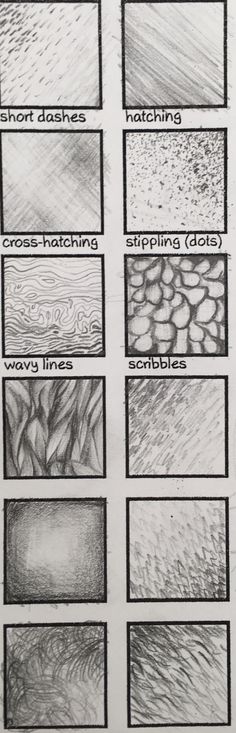 some different types of wood that are drawn in black and white ink, each with different colors