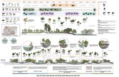 a diagram showing the different types of trees